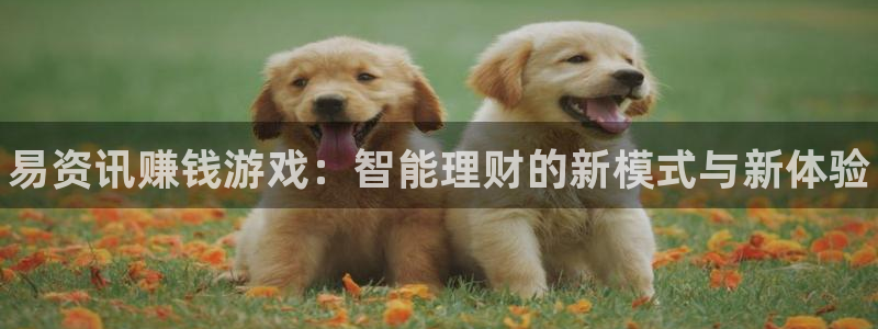 奇亿娱乐开户测速：易资讯赚钱游戏：智能理财的新模式与新体验