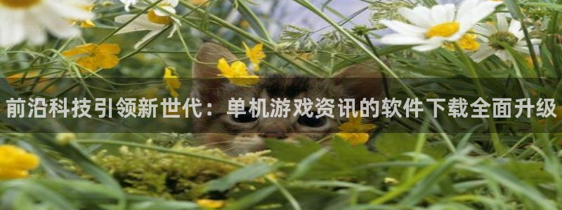 奇亿娱乐2登录：前沿科技引领新世代：单机游戏资讯的软件下载全