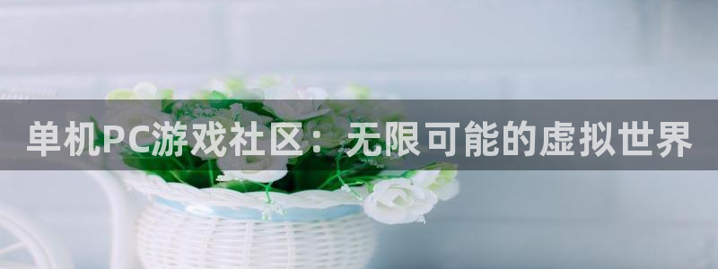 奇亿娱乐官方注册登录：单机PC游戏社区：无限可能的虚拟世界