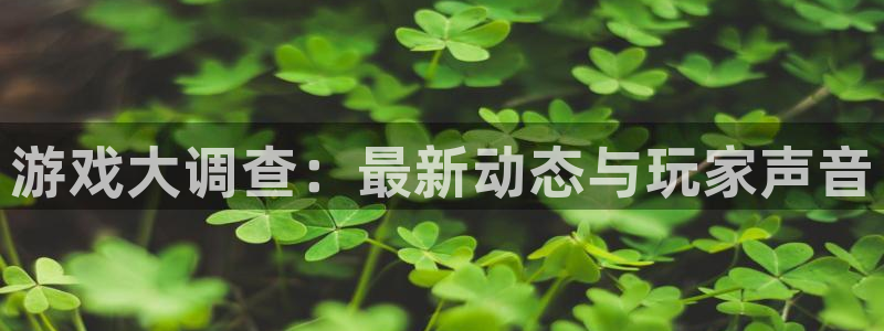 奇亿娱乐网页登录入口下载：游戏大调查：最新动态与玩家声音