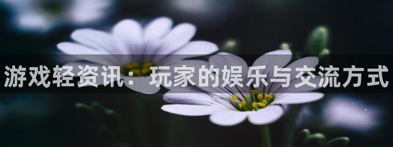 奇亿娱乐登陆地址：游戏轻资讯：玩家的娱乐与交流方式
