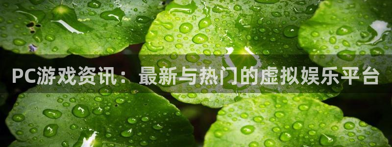 奇亿娱乐网页登录入口下载：PC游戏资讯：最新与热门的虚拟娱乐