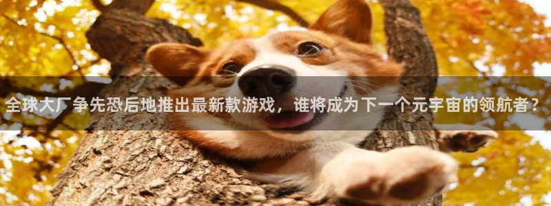 奇亿娱乐官方平台：全球大厂争先恐后地推出最新款游戏，谁将成为