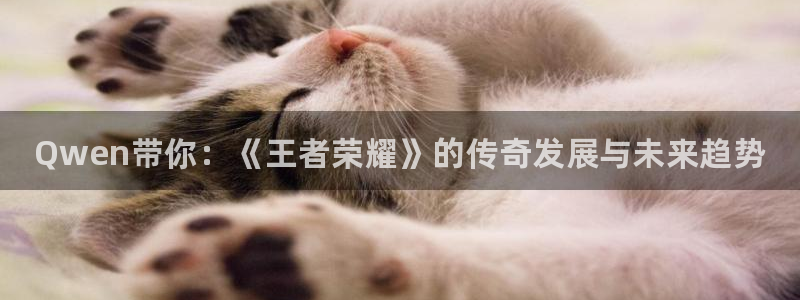 奇亿娱乐平台注册资金多少：Qwen带你：《王者荣耀》的传奇发