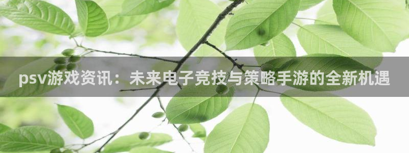 奇亿娱乐平台注册资金多少：psv游戏资讯：未来电子竞技与策略