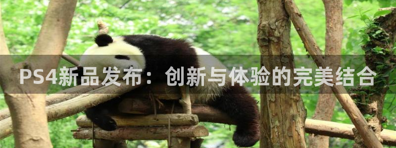 奇亿娱乐集团：PS4新品发布：创新与体验的完美结合