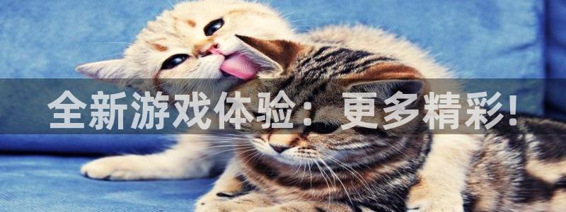 奇亿娱乐是什么：全新游戏体验：更多精彩!