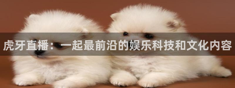 足球直播24直播：虎牙直播：一起最前沿的娱乐科技和文化内容