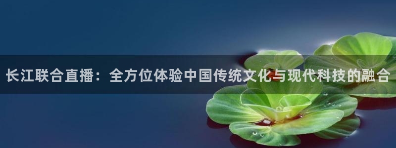 24直播网下载：长江联合直播：全方位体验中国传统文化与现代科技的融合