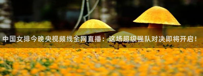 24直播网体育新年放送7zg.立即打开.org：中国女排今晚央视频线全网直播：这场超级强队对决即将开启！
