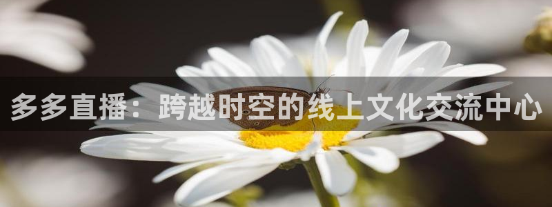 nba直播免费高清直播24直播网：多多直播：跨越时空的线上文化交流中心
