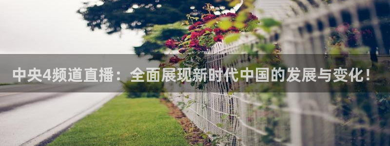 24直播jrs：中央4频道直播：全面展现新时代中国的发展与变化！