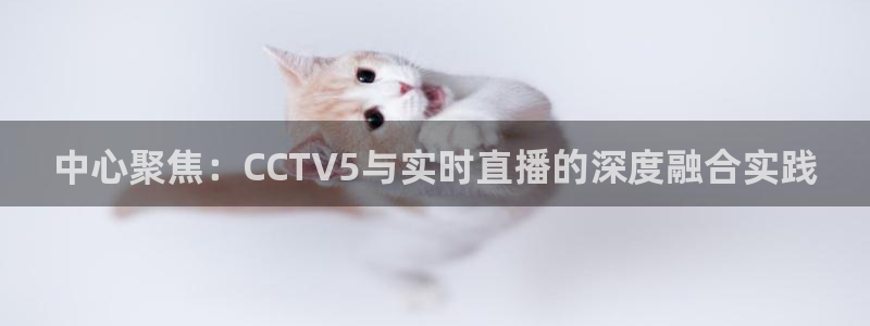 24直播网app下载：中心聚焦：CCTV5与实时直播的深度融合实践