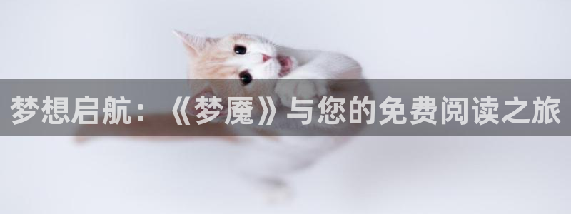 24直播网体育在线直播：梦想启航：《梦魇》与您的免费阅读之旅