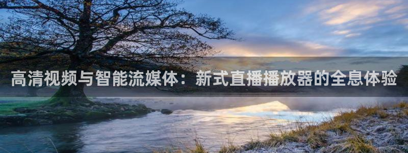 24直播体育直播：高清视频与智能流媒体：新式直播播放器的全息体验